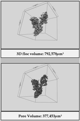 Functional behaviour of flocs explained by observed 3D structure and porosity